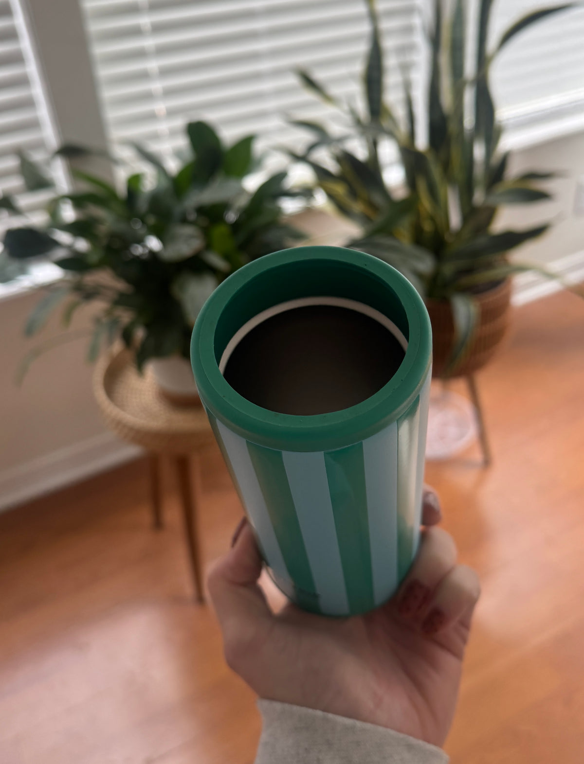 Aqua + Green Striped Slim Can Koozie