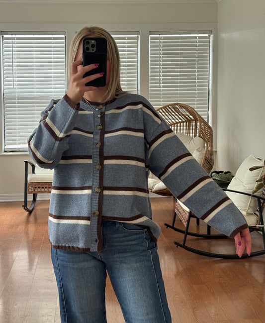 Striped Button Down Knit Cardigan - Blue + Brown