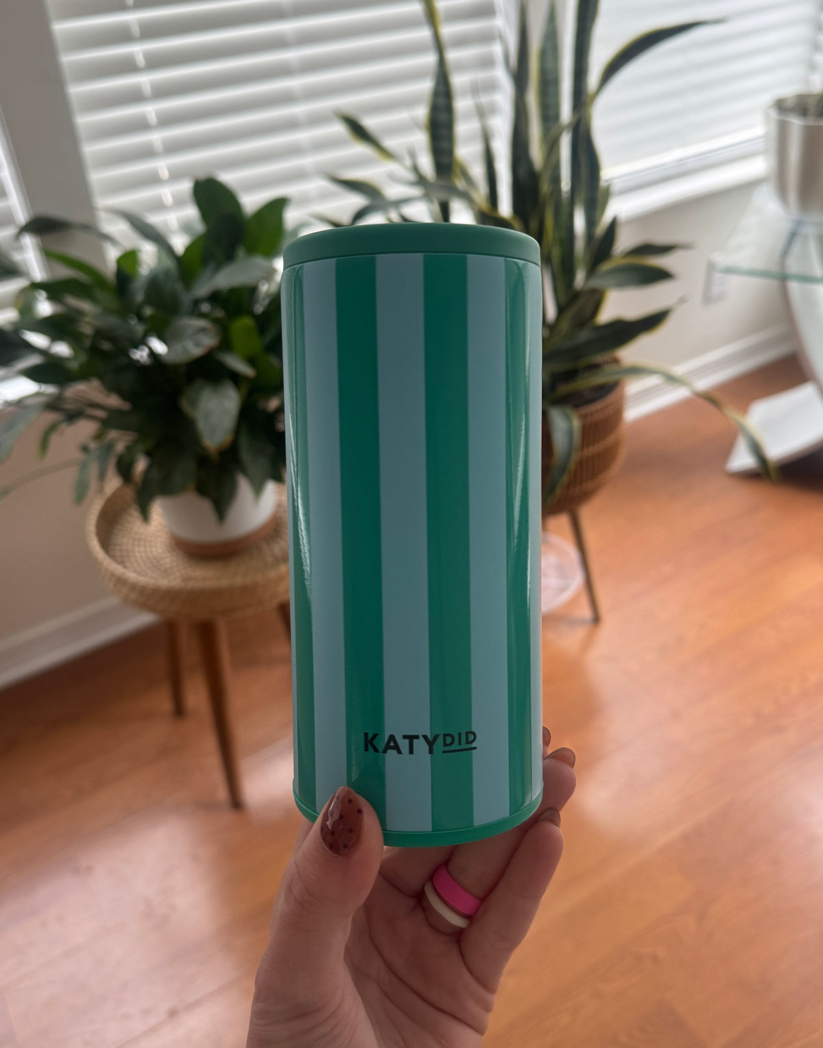 Aqua + Green Striped Slim Can Koozie
